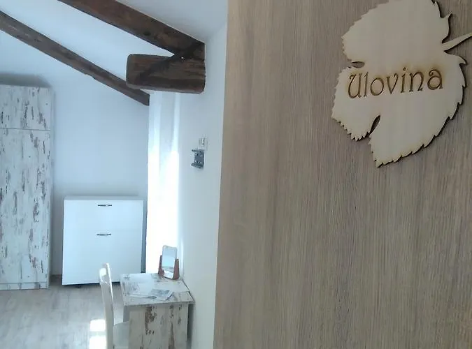 Casa Rossa Motovun, Boutique Istrian